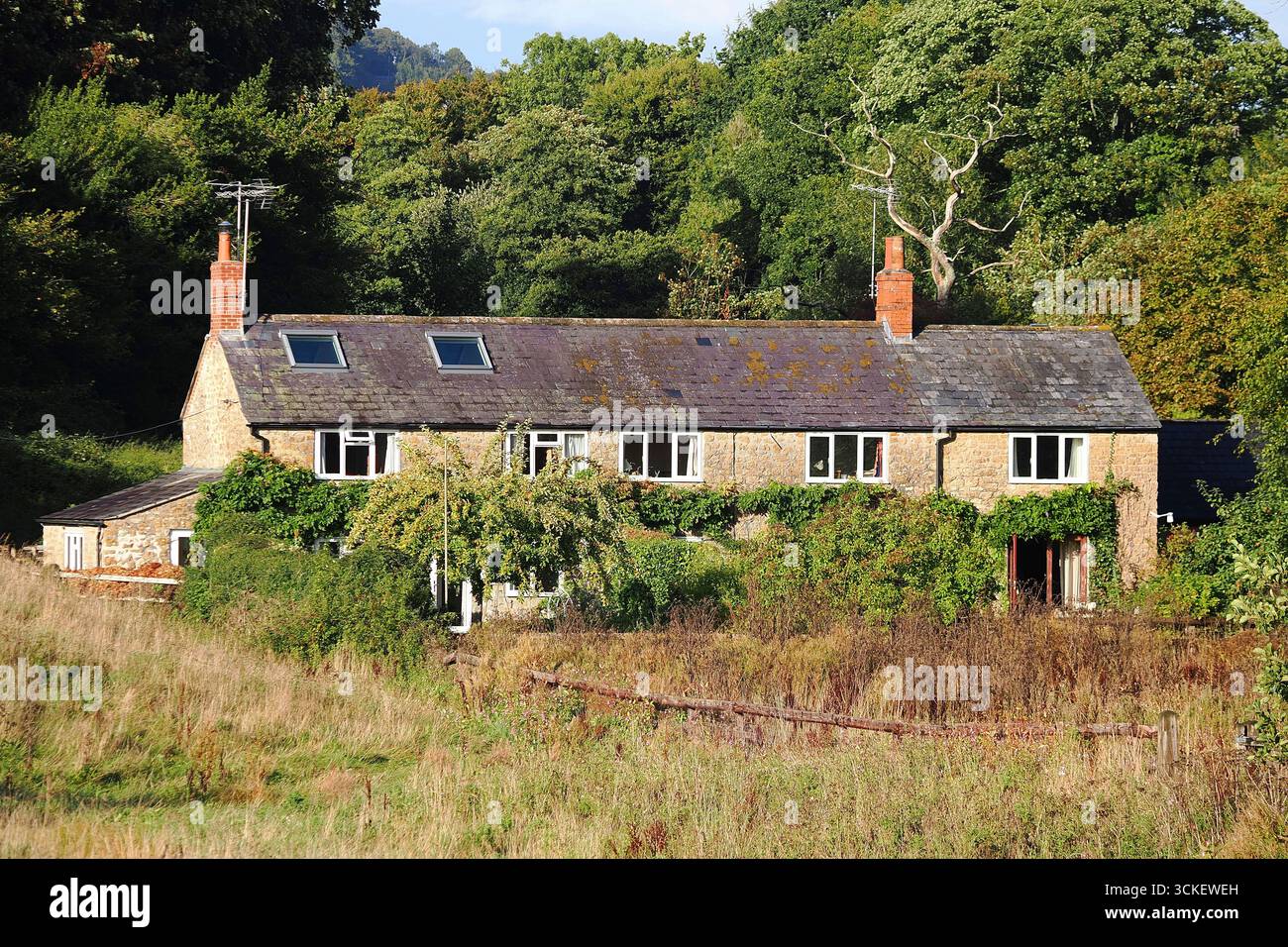 Parnham Anwesen in der Nähe von Beaminster, Dorset, Großbritannien Stockfoto