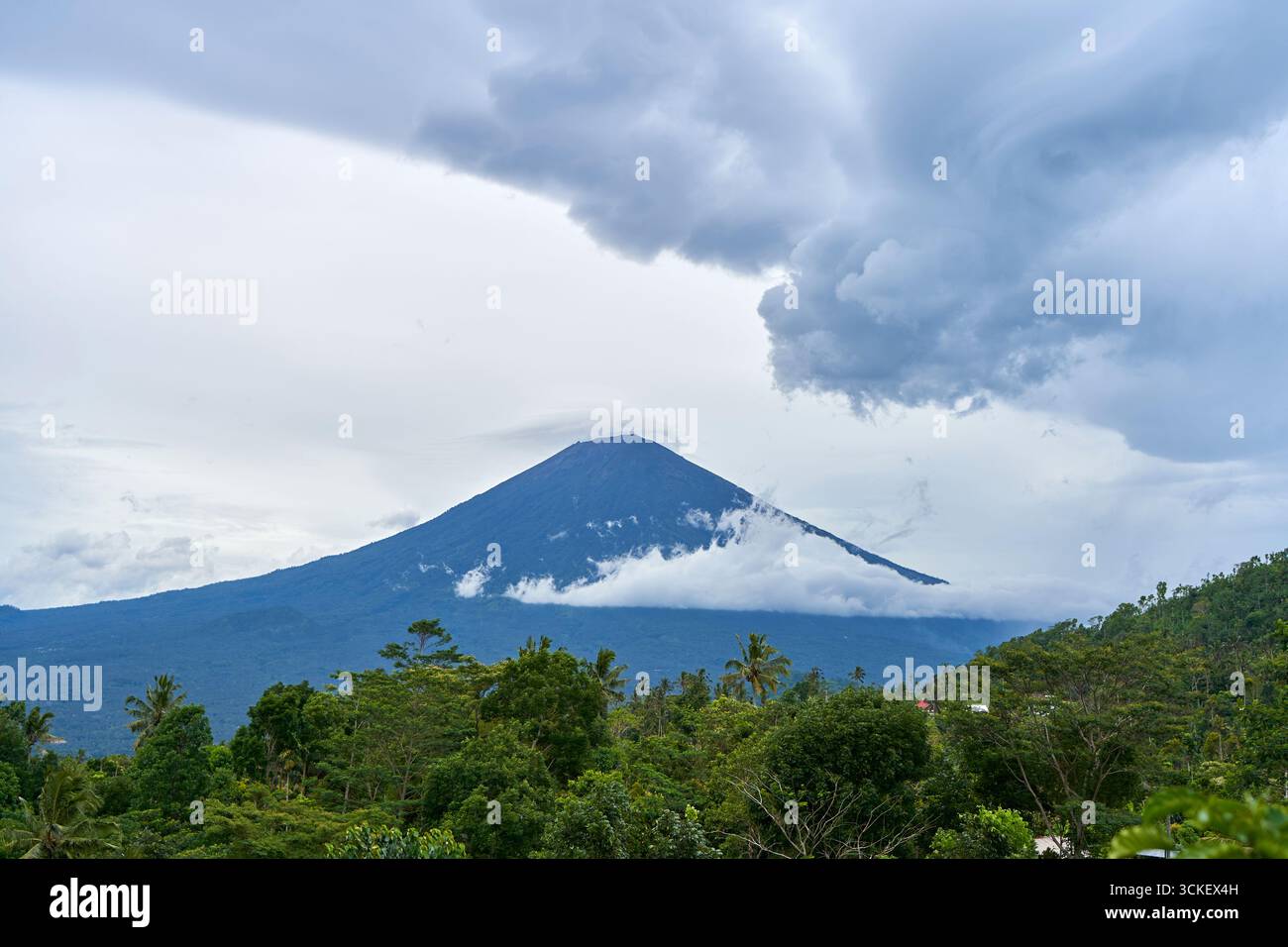 Panorama des Mount Agung und der Reisfelder auf der Insel Bali. Blick auf den Berg vor einem Hintergrund von Palmen und einem Maisfeld. Panorama der AG Stockfoto
