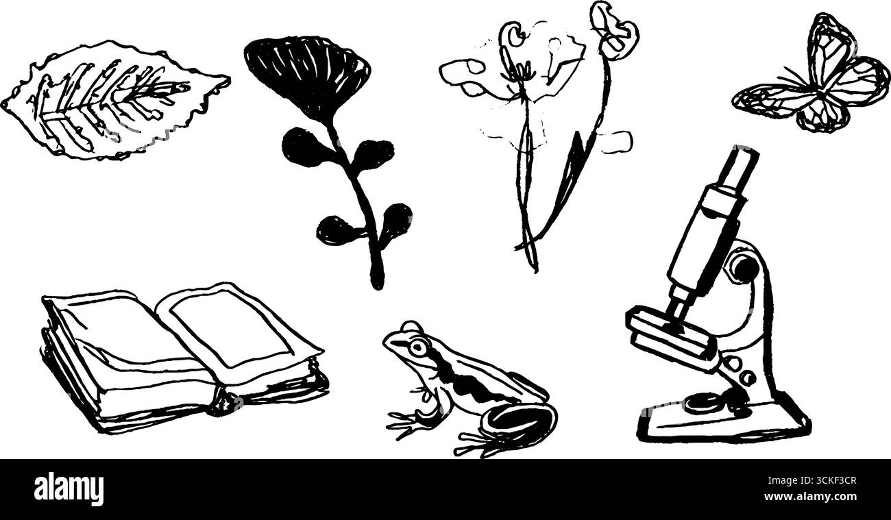 Schwarz-weiß-biologische Skizze mit Pflanzen, Insekten und Mikroskop. Stock Vektor