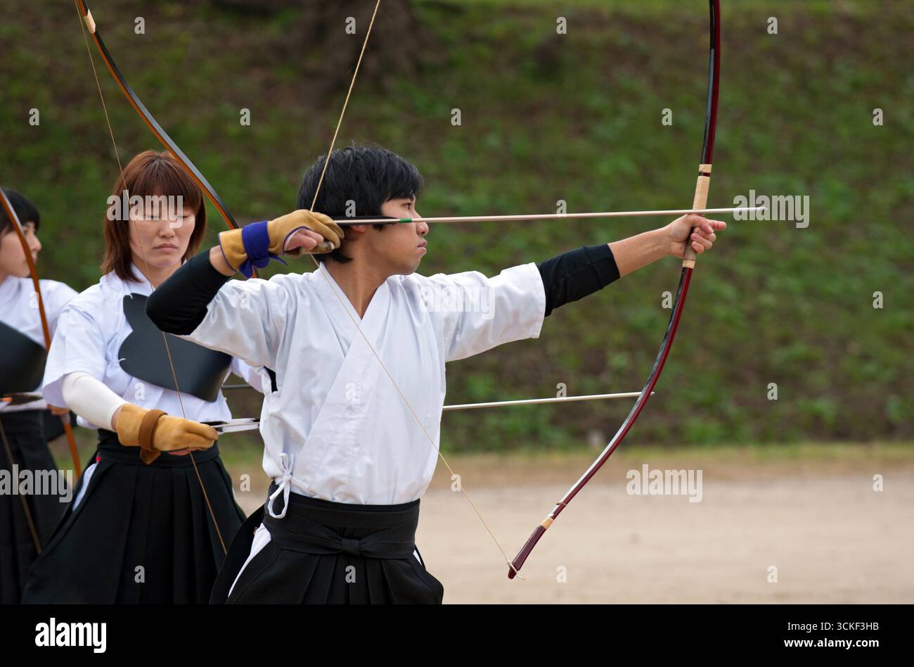 Japan pfeil bambus -Fotos und -Bildmaterial in hoher Auflsung  Alamy