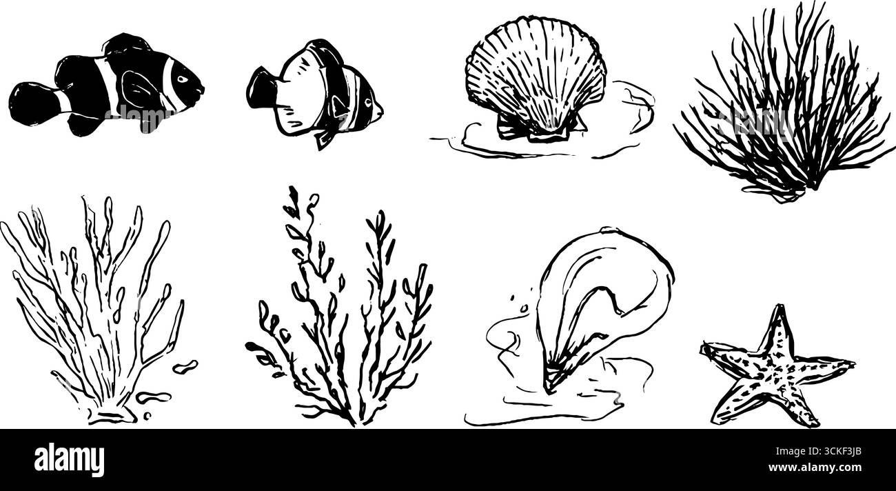 Skizzenset für Meereslebewesen mit Fischen, Muscheln und Korallenkritzeleien für künstlerische Designs. Stock Vektor