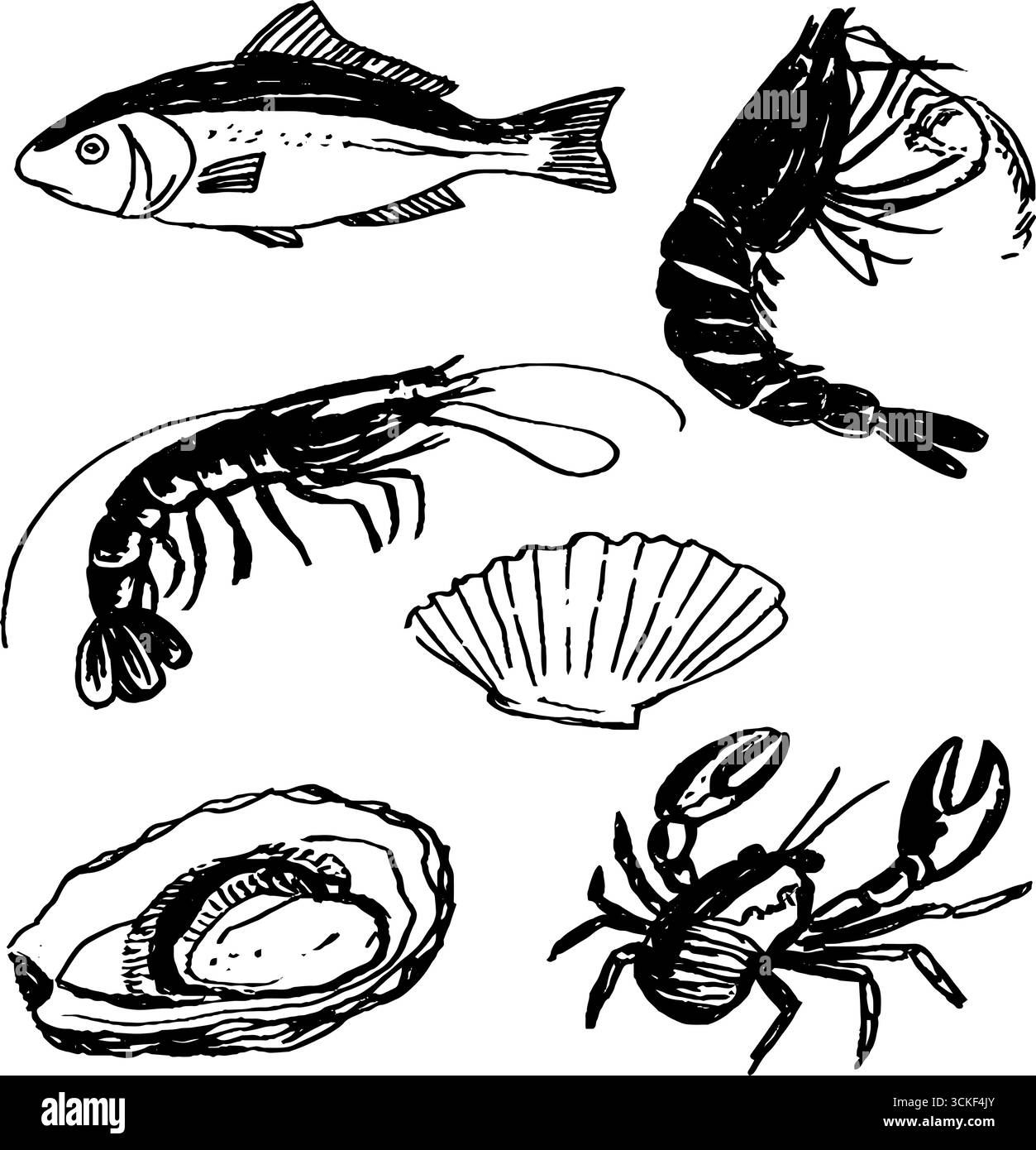 Schwarz-weiße handgezeichnete Illustrationen Set von Meeresbewohnern und Muscheln für Design und Dekoration. Stock Vektor