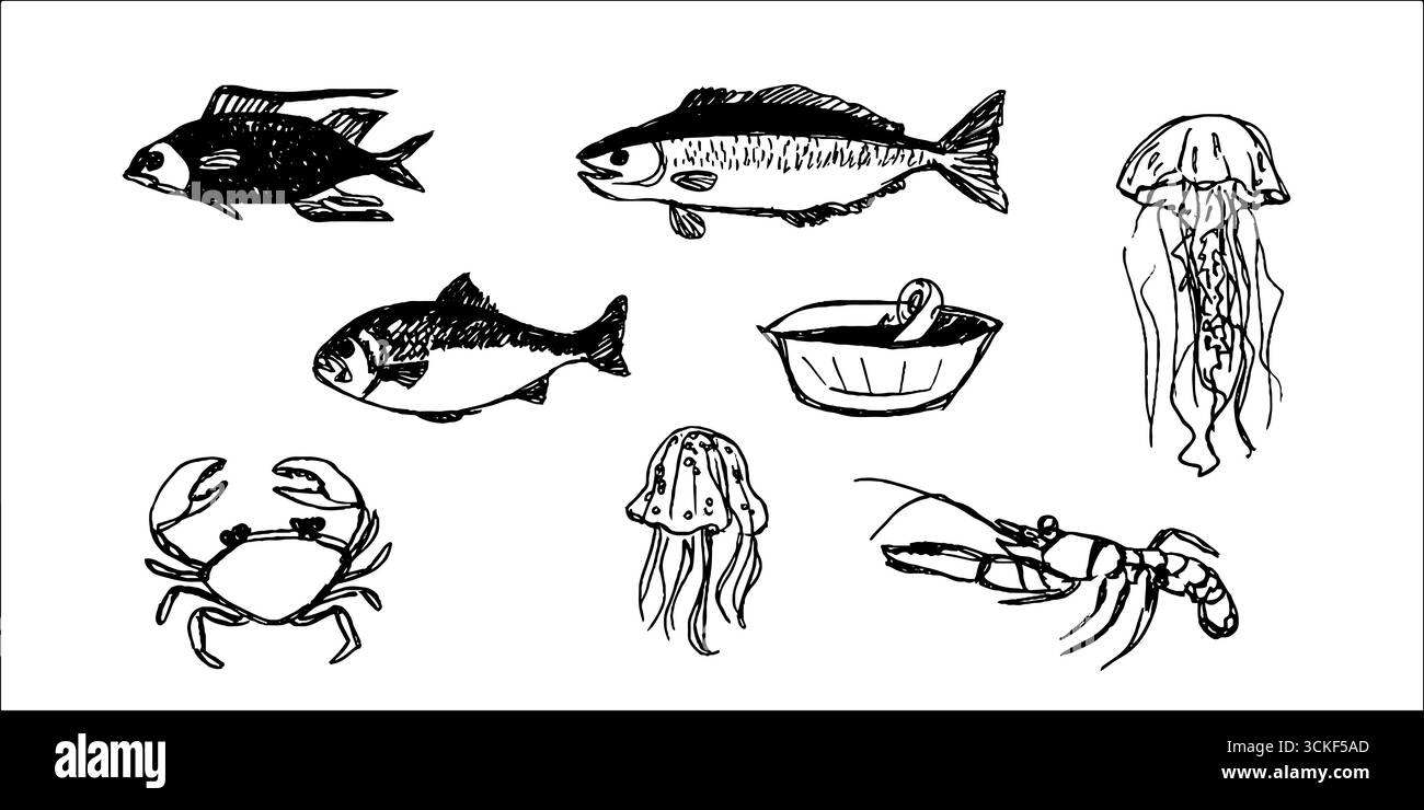 Handgezeichnete Schwarz-weiß-Meereslebewesen-Set: Fische, Krabben, Hummer, Quallen Illustrationen für Design. Stock Vektor