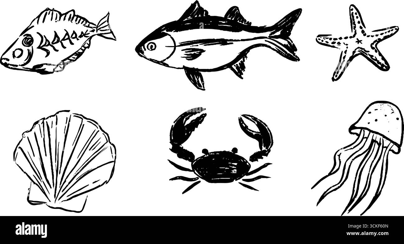 Schwarz-weiße Sketch-Kollektion von Meeresbewohnern für kreative Designs. Stock Vektor