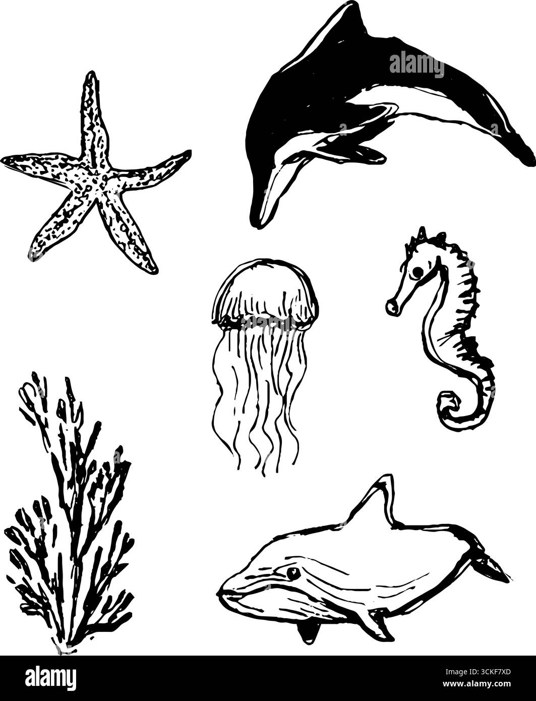 Handgezeichnete Sketch-Kollektion von Ocean Creatures für künstlerisches Design und Dekoration. Stock Vektor