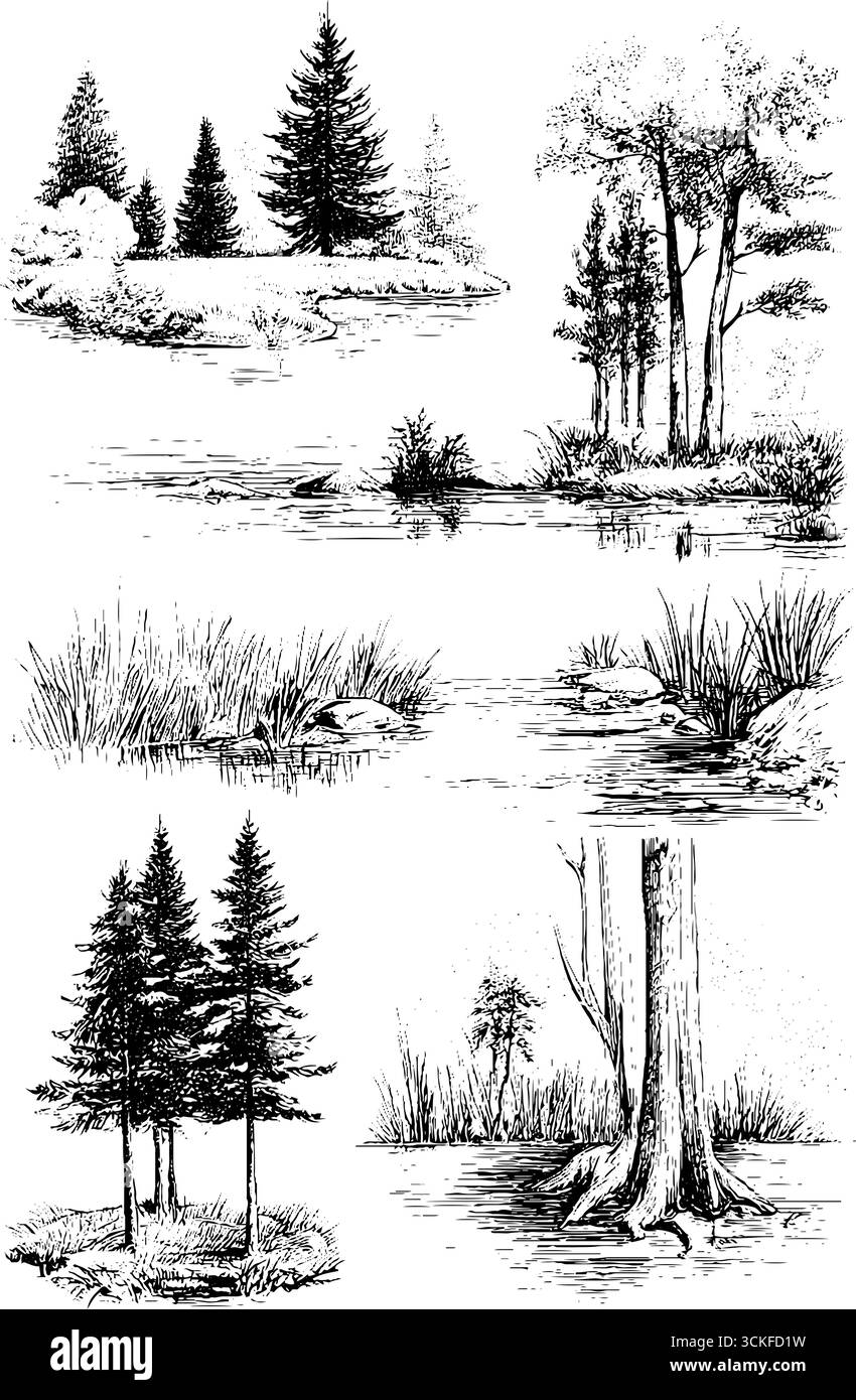Wunderschöne schwarze und weiße Waldszenen mit Seen und Bäumen. Stock Vektor