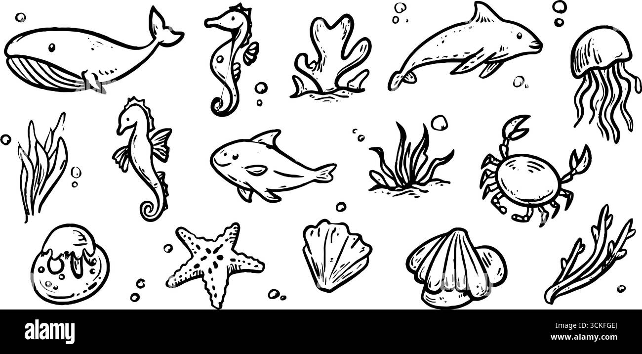 Handgezeichnetes Kritzelset der Meereswelt mit Walen, Delfinen, Fischen und Meeresbewohnern für kreative Designs. Stock Vektor