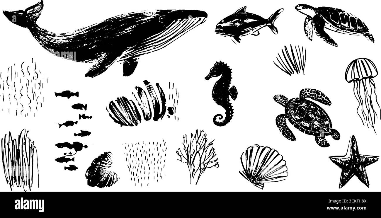 Ocean Life Doodle Set mit Walen, Delfinen und Meeresbewohnern für kreatives Design. Stock Vektor