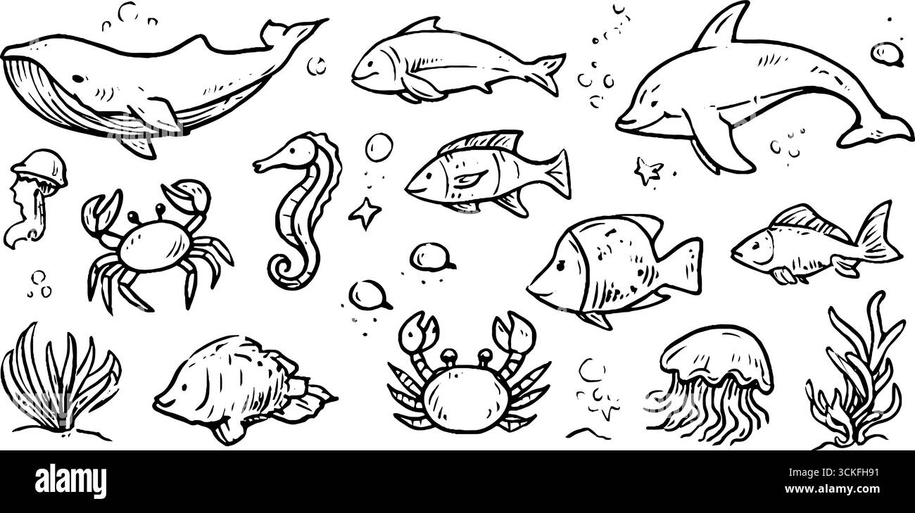 Handgezeichnete Meeresbewohner: Wale, Delfine, Fische und vieles mehr in Doodle Art Set. Stock Vektor