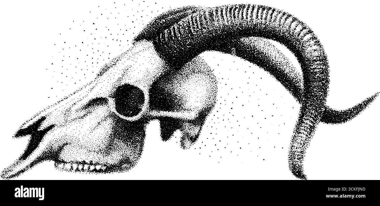 Stipple Dotwork Ziegenschädel Illustration für Tattoo- und Designprojekte. Stock Vektor
