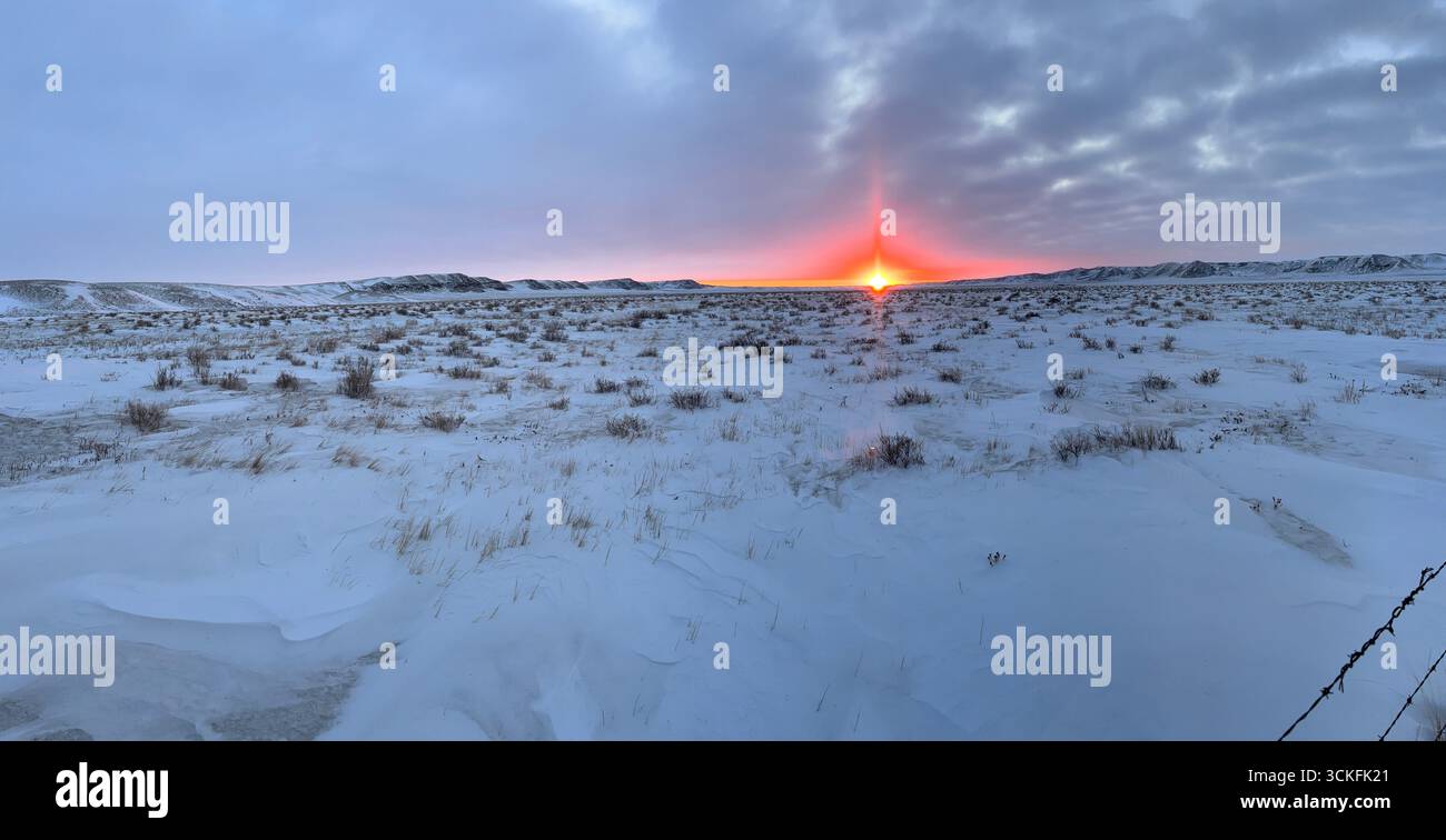 Wintersonnenaufgang mit dramatischen Lichtsäulen, die über dem Horizont über der schneebedeckten Prärielandschaft leuchten. - Smartphone-aufgenommenes Stockfoto