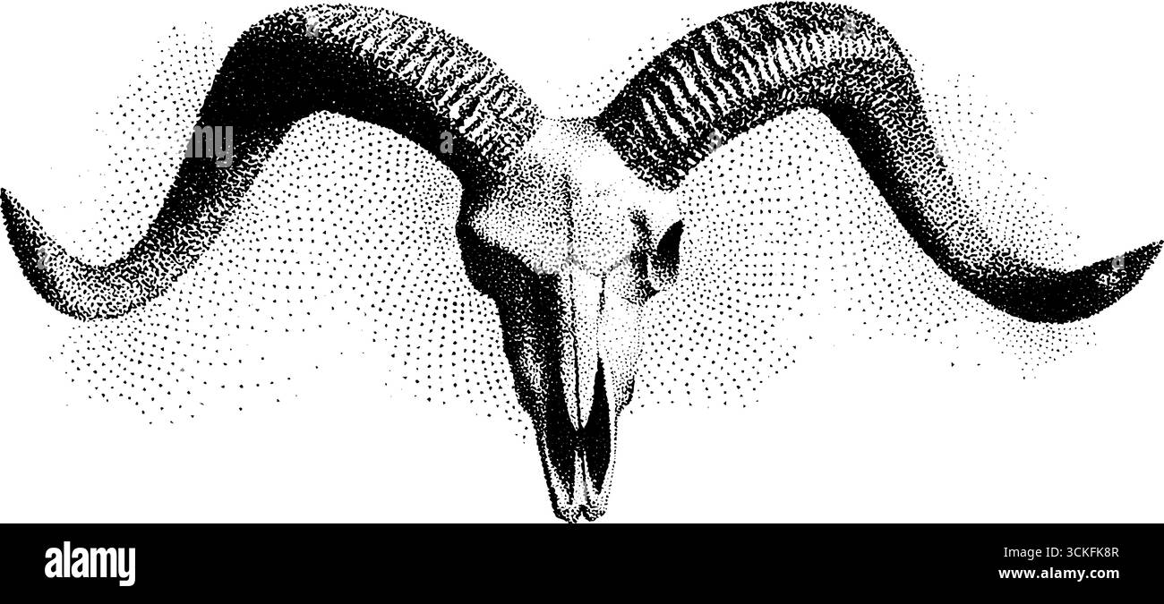 Stipple-Dotwork-Illustration von Ziegenschädel mit gebogenen Hörnern für Tattoo-Design. Stock Vektor