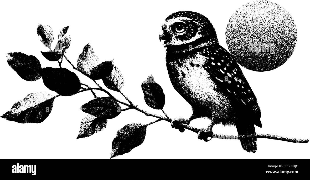 Illustration einer kleinen Eule auf einem Ast mit Mondhintergrund für künstlerisches Design. Stock Vektor