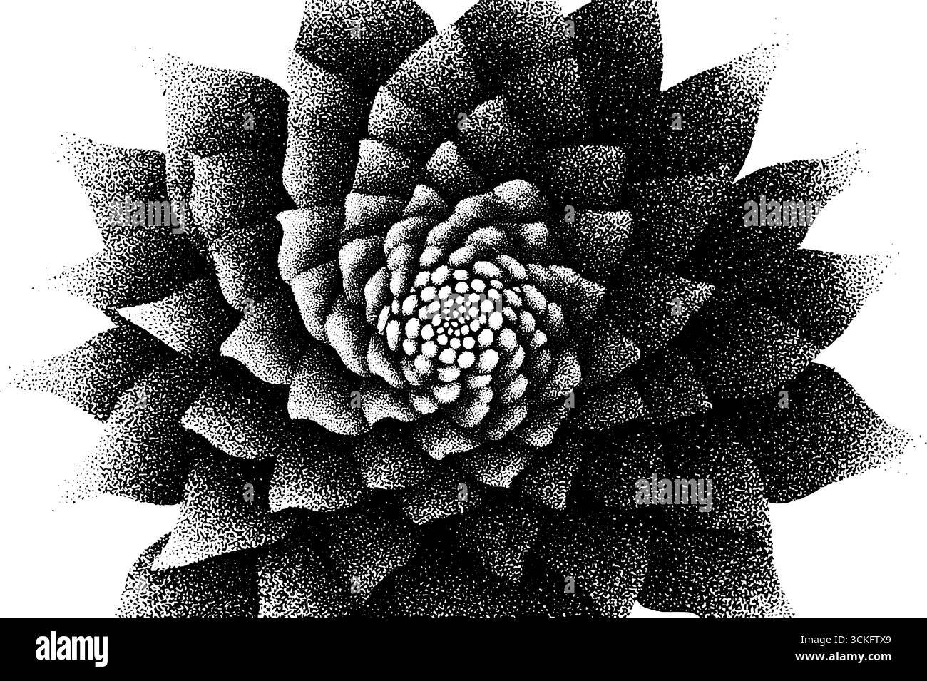 Psychedelische Stipple-Dotwork von floralem Traumdesign für Kunstplakate. Stock Vektor