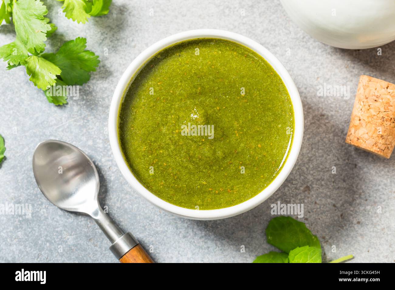 Bio Healthy Indian Mint Cilantro Chutney mit heißem Pfeffer Stockfoto