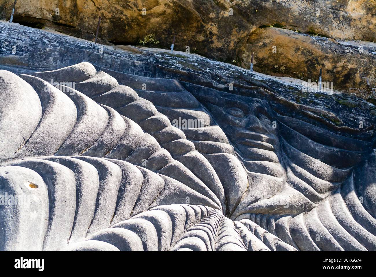 Detaillierte Steinschnitzereien zeigen komplexe Designs, die die Handwerkskunst einer alten Kultur bei natürlichem Sonnenlicht einfangen. Stockfoto