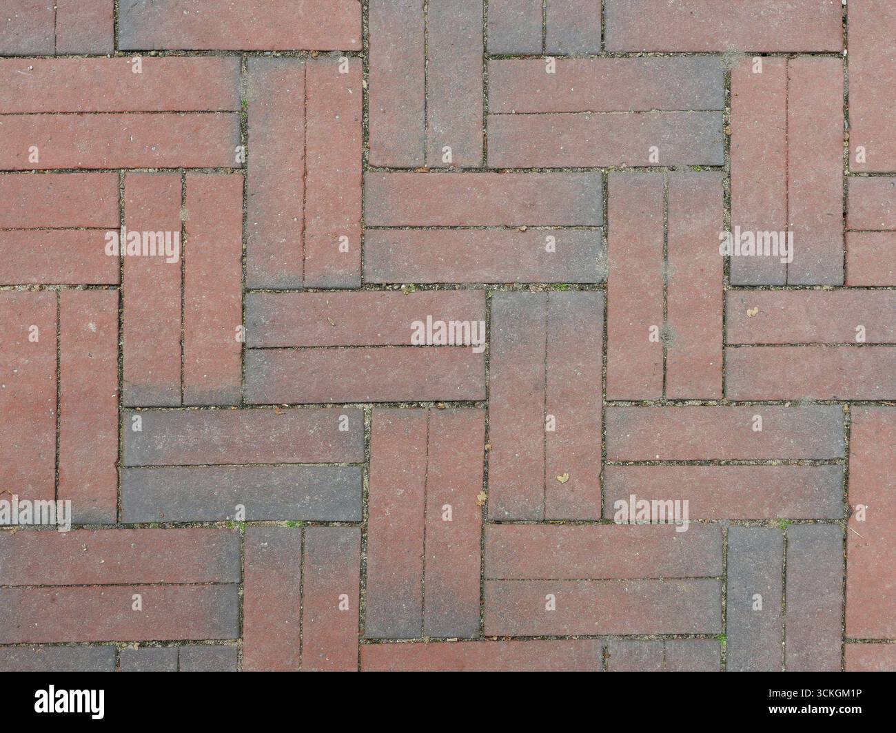 Roter Betonpflaster im Fischgrätenmuster. Die rechteckigen Steine schaffen eine stabile, haltbare und strukturierte Oberfläche. Leerzeichen für Text. Stockfoto