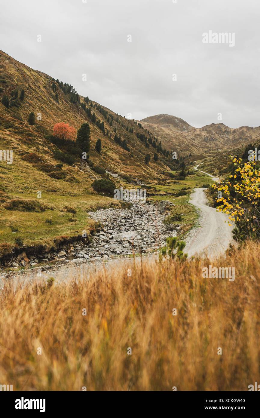 Entlang des Trattenbach ins Trattenbachtal zur Trattenbachalm bei Wald im Pinzgau, Salzburg, Österreich am 08.10.2020. // entlang des Trattenbachs ins Trattenbachtal bis zur Trattenbachalm bei Wald im Pinzgau, Salzburg, Österreich am 08.10.2020. - 20231008 PD30300 Credit: APA-PictureDesk/Alamy Live News Stockfoto
