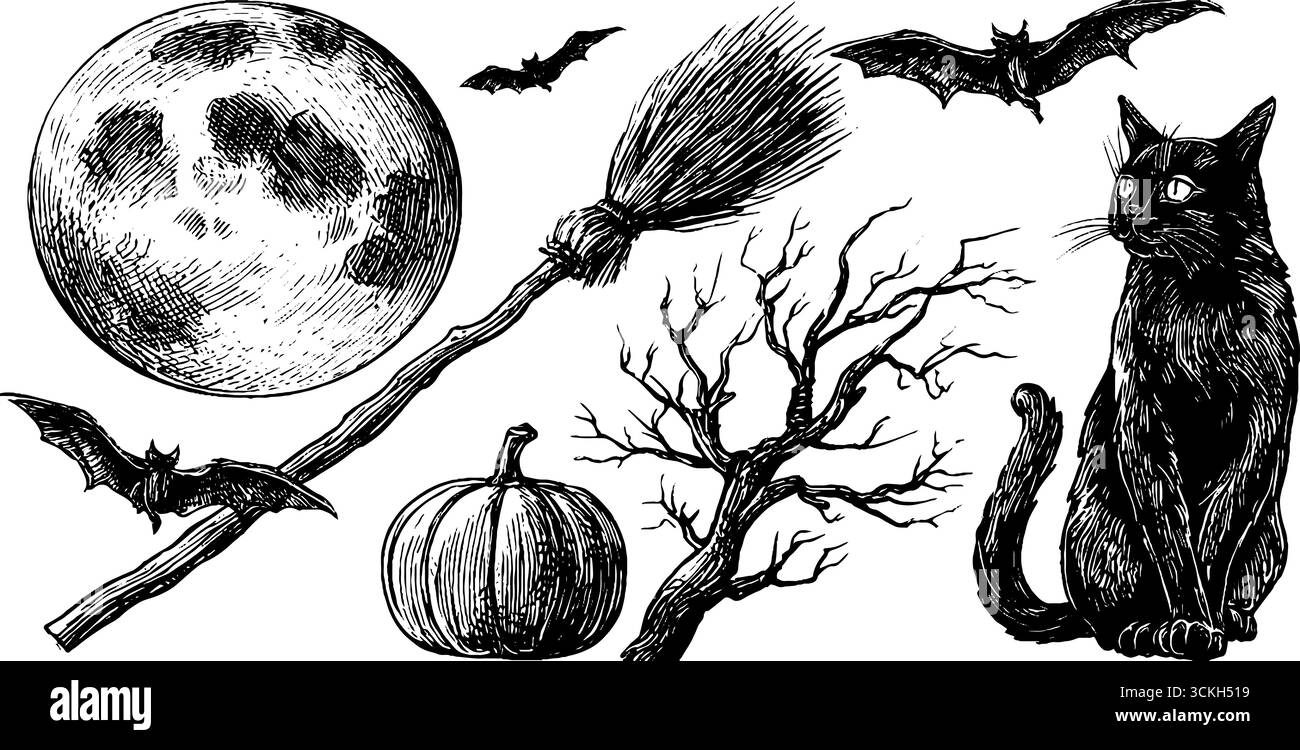 Herbst halloween Night Elemente: Besen, Mond, Fledermäuse, Katze und Kürbis Sketchkollektion für saisonales Design. Stock Vektor