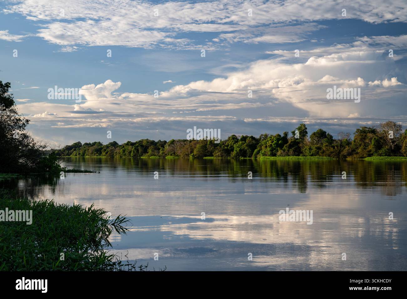 Wunderschöner Blick auf grüne amazonas-Regenwälder und Wasserspiegelung Stockfoto