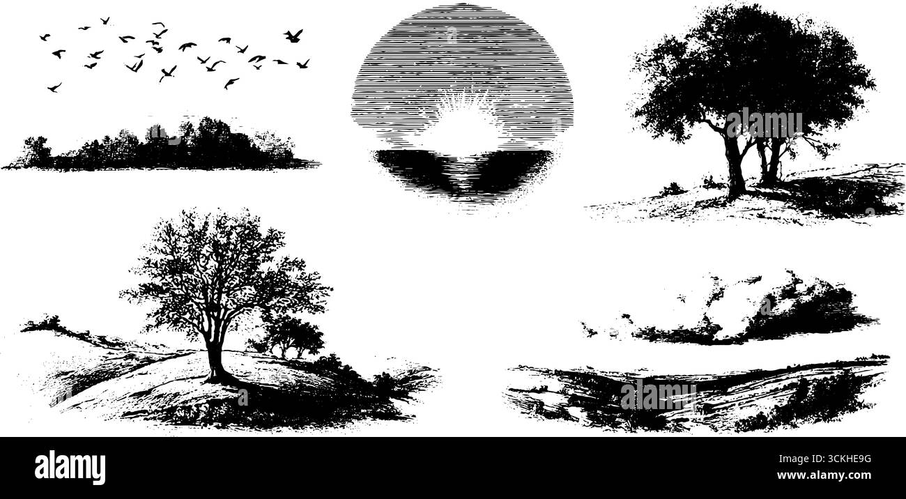 Illustrationskollektion zum Sonnenuntergang im Herbst: Handgezeichnete Bäume, Sonne und malerische Landschaften zu Designzwecken. Stock Vektor
