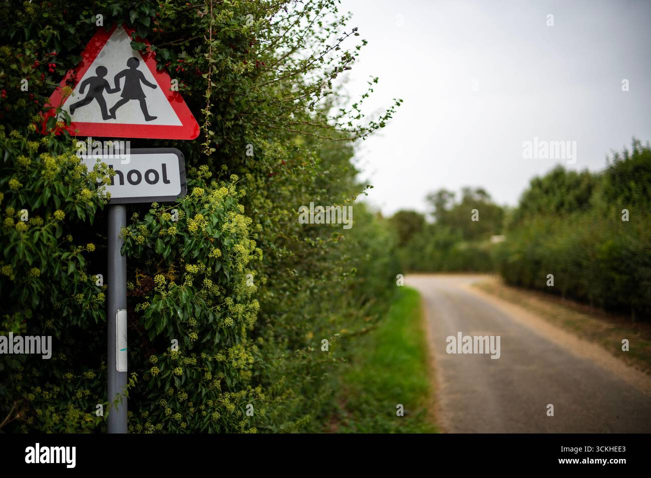 Schulschild Bawdsey Suffolk UK Stockfoto