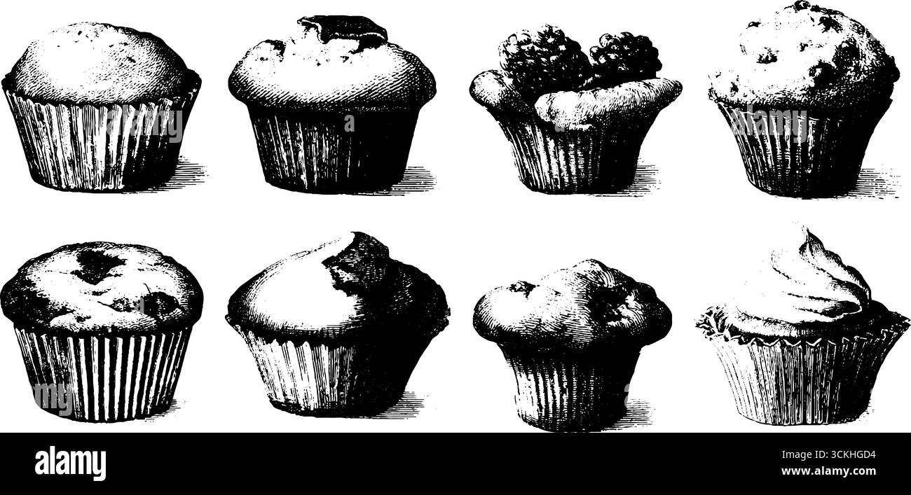 Vintage-Gravurkollektion mit Muffin-Illustrationen für Retro-Design und Etiketten. Stock Vektor