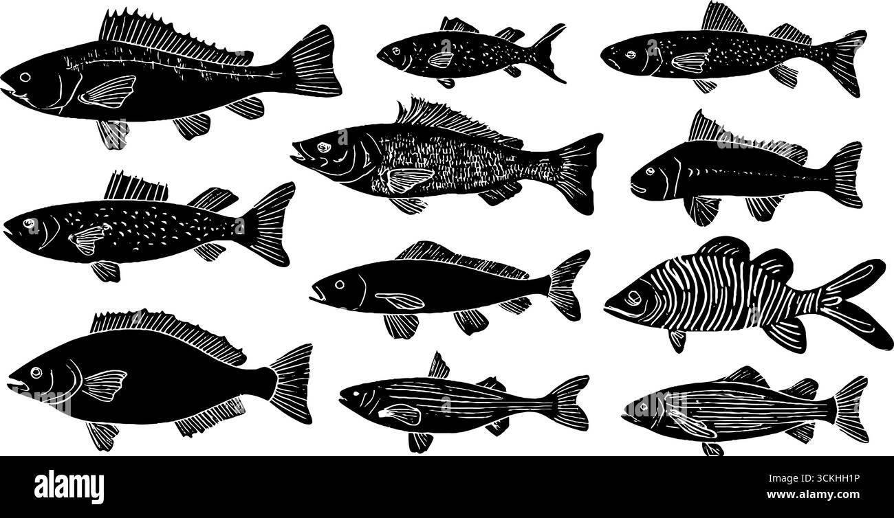 Linolschnitt-Fischkollektion mit Kabeljau, Hering, Lachs, Thunfisch und Karpfen für künstlerisches Design. Stock Vektor