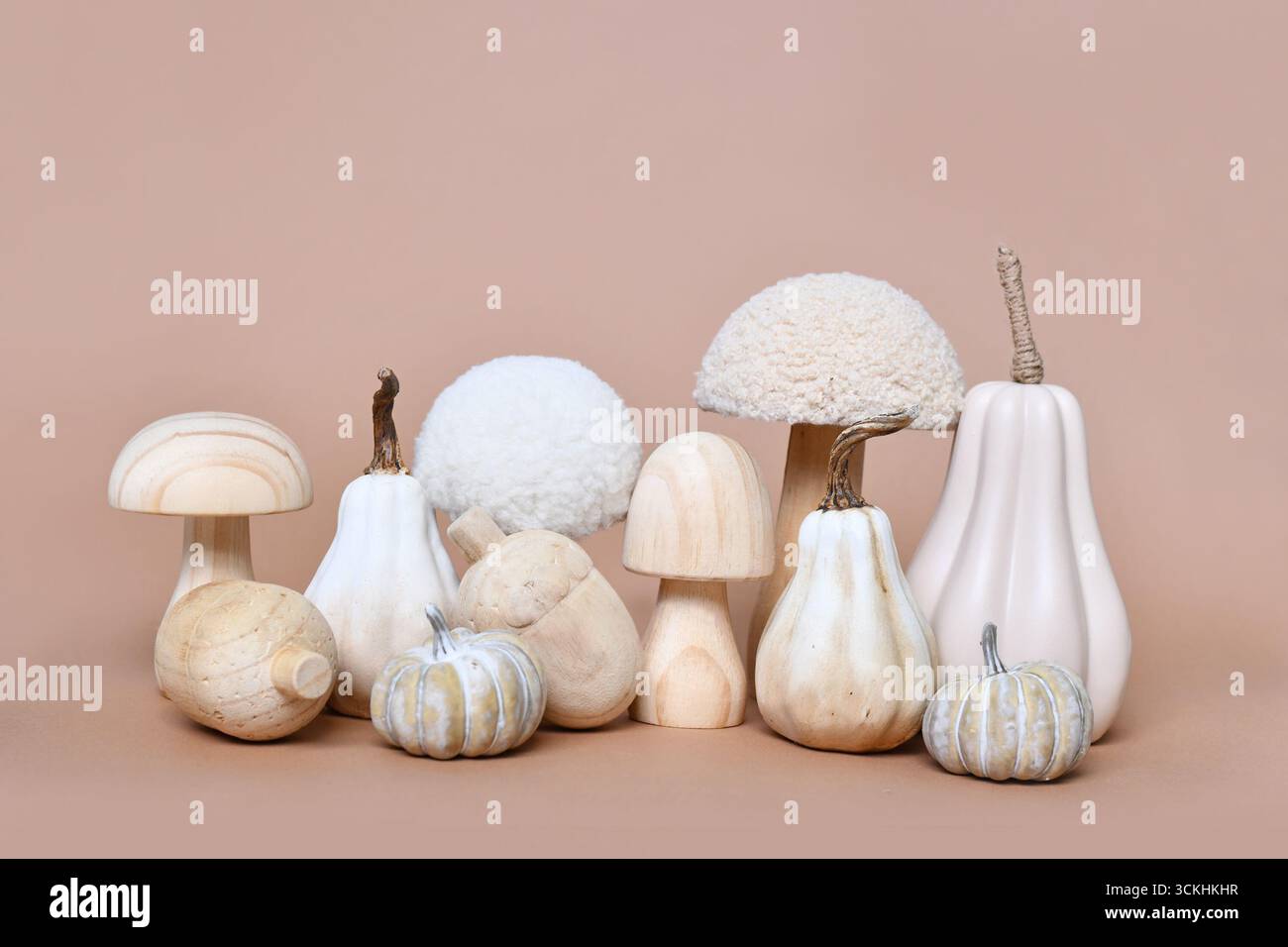 Dekorative Kürbis-, Pilz- und Eichelornamente auf beigefarbenem Hintergrund. Boho-Herbstkomposition Stockfoto