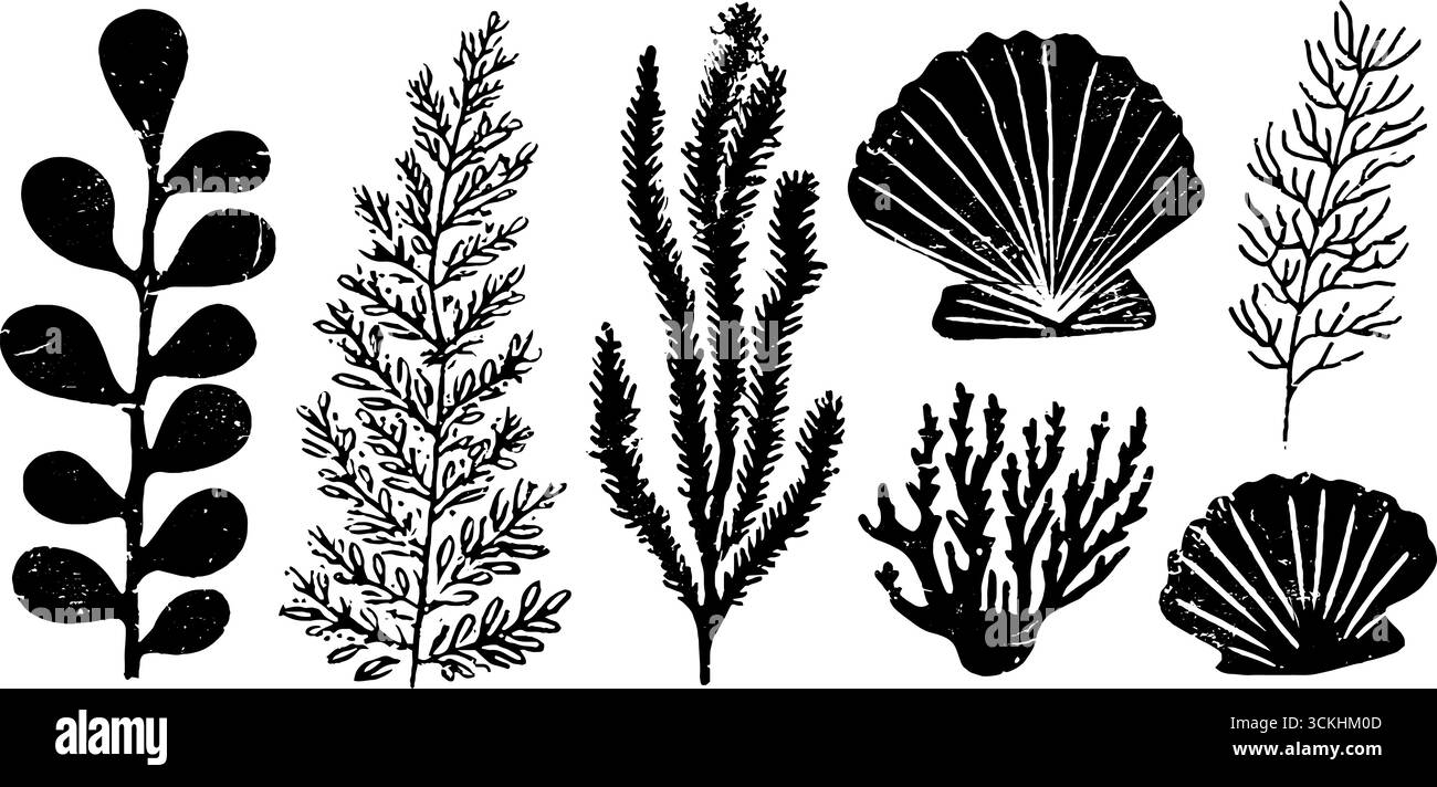 Linolschnitt-Kollektion mit Korallen-, Algen- und Seetang-Silhouetten für Vintage-Design. Stock Vektor