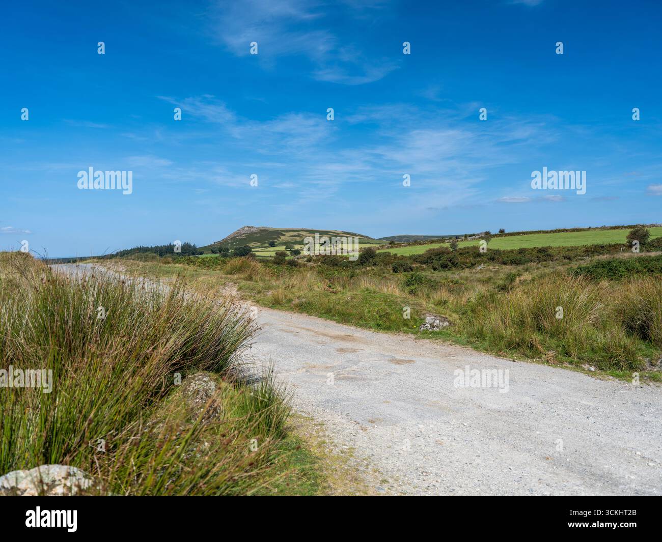 Straße zum Moor Stockfoto