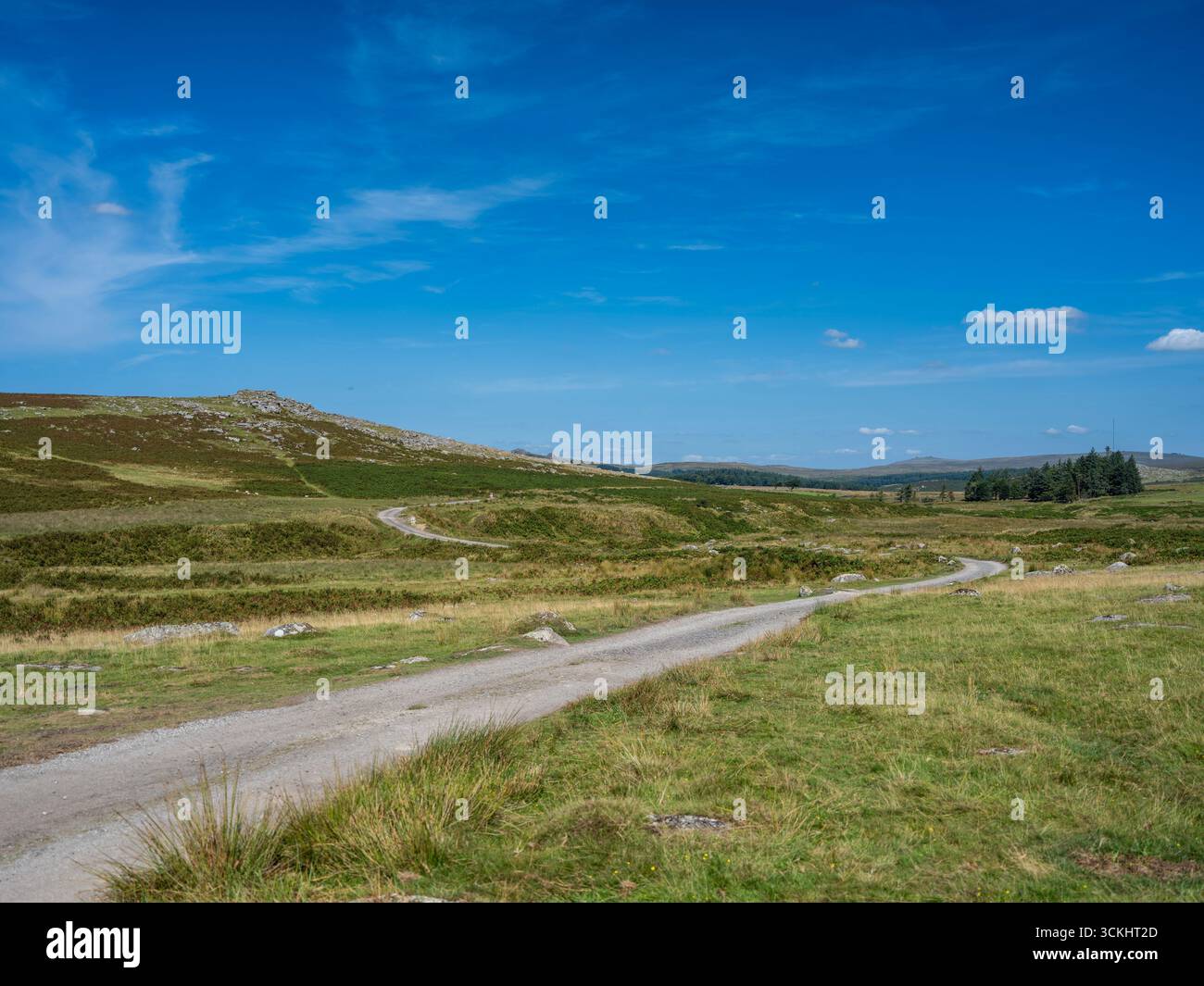 Verfolgen Sie das Moor Stockfoto