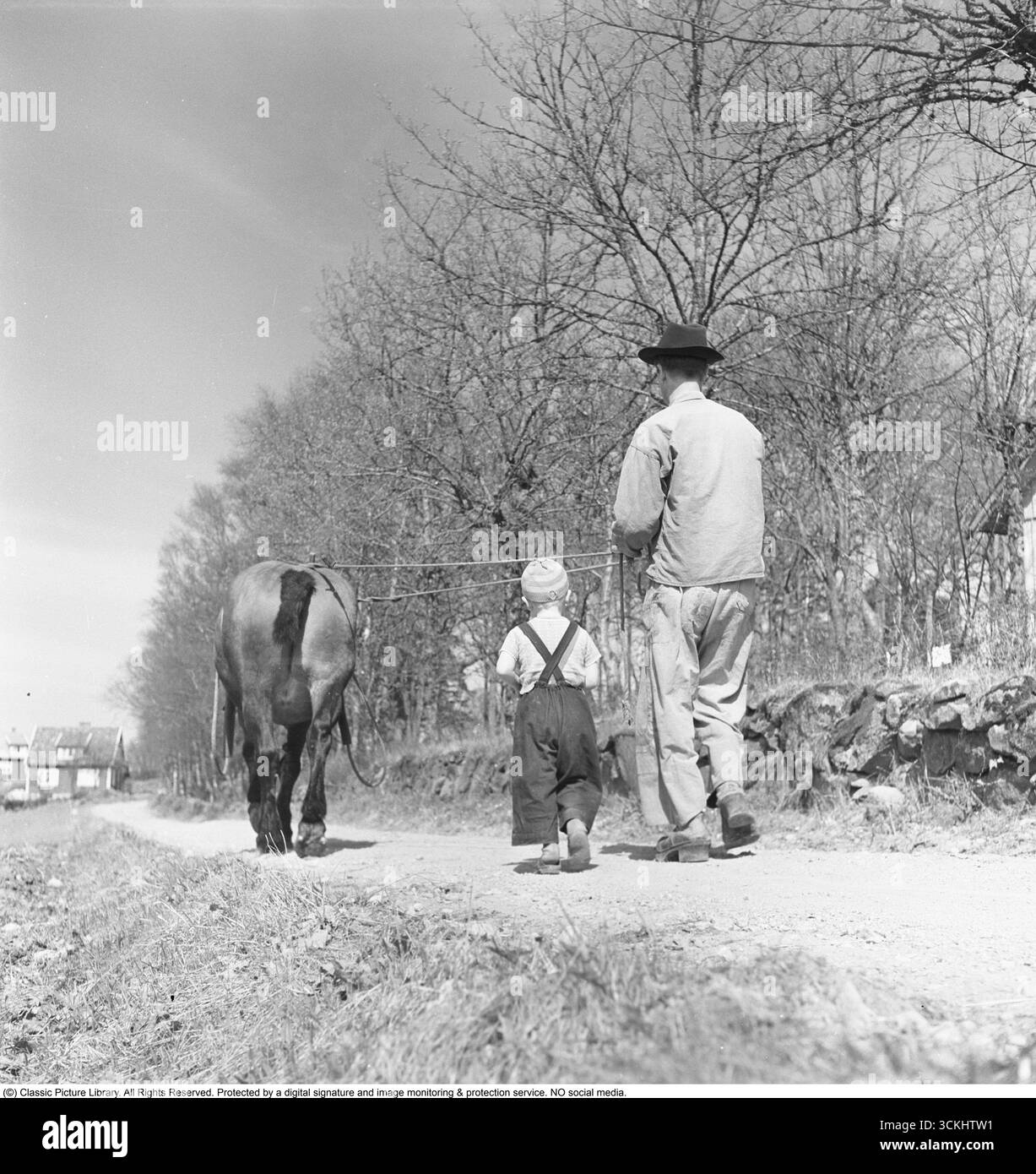 Vater und Sohn 1951. „Halte es so“. Der Vater gibt seinem Sohn Anweisungen, wie man die Zügel hält, und gibt ihm eine wichtige Fähigkeit. Der Griff sollte fest und dennoch sanft zwischen den Fingern sein. Das Weitergeben des Wissens bewahrt die praktischen Fähigkeiten und die Bindung an die Tradition. Geduld, Respekt vor dem Pferd und Selbstvertrauen, mit seiner Kraft umzugehen. Das gütige Pferd wartet geduldig vor ihnen. Die Art und Weise, wie Wissen auf diese praktische Weise weitergegeben wird, ist heute etwas verloren. Kristoffersson Ref. BC7-3 Stockfoto