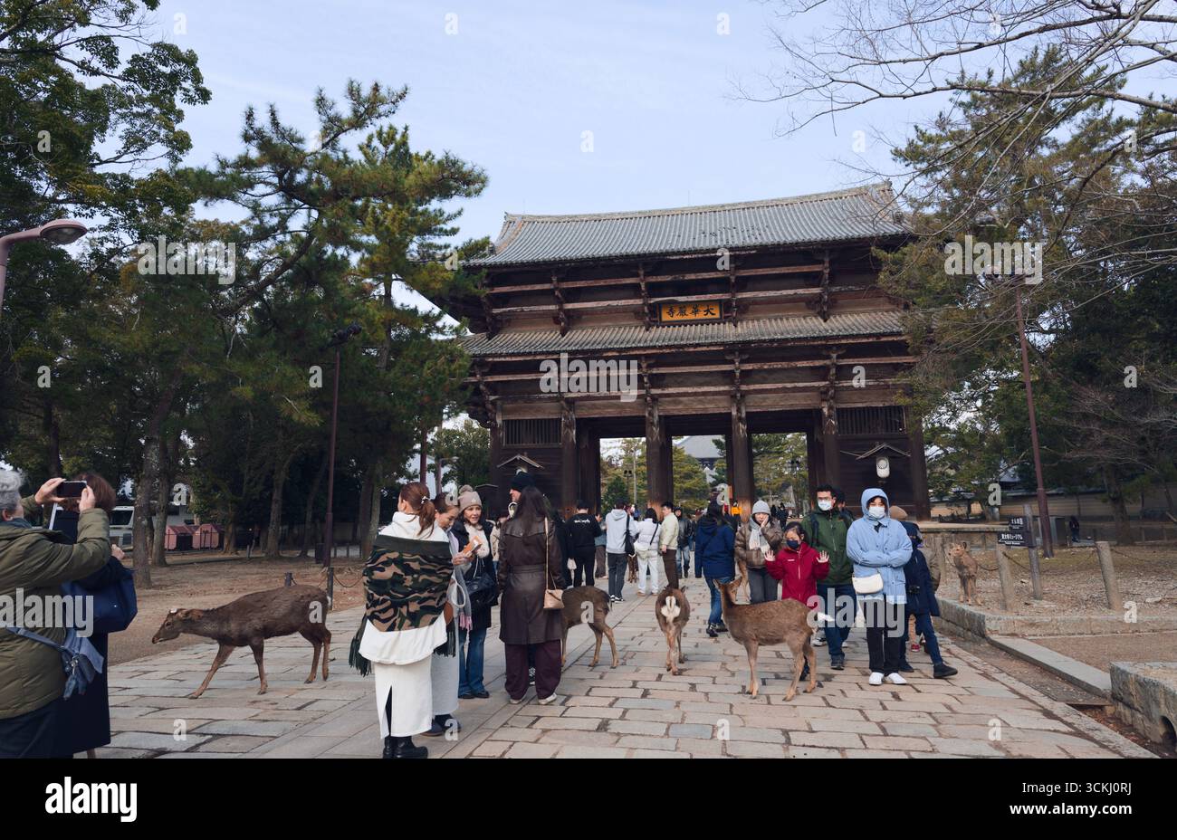 Menschenmassen und umherziehende Hirsche versammeln sich am Nandaimon Gate, dem großen Eingang zum Tōdai-JI Tempel in Nara Stockfoto
