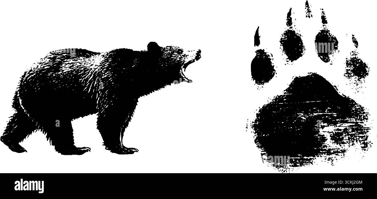 Schwarz-weiße Bärenschablone für Design und Dekoration. Stock Vektor