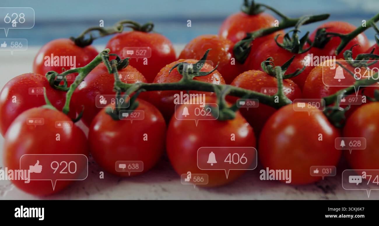 Anzeige einer Gruppe roter Tomaten auf der Küchenplatte mit Benachrichtigungen in sozialen Medien Stockfoto