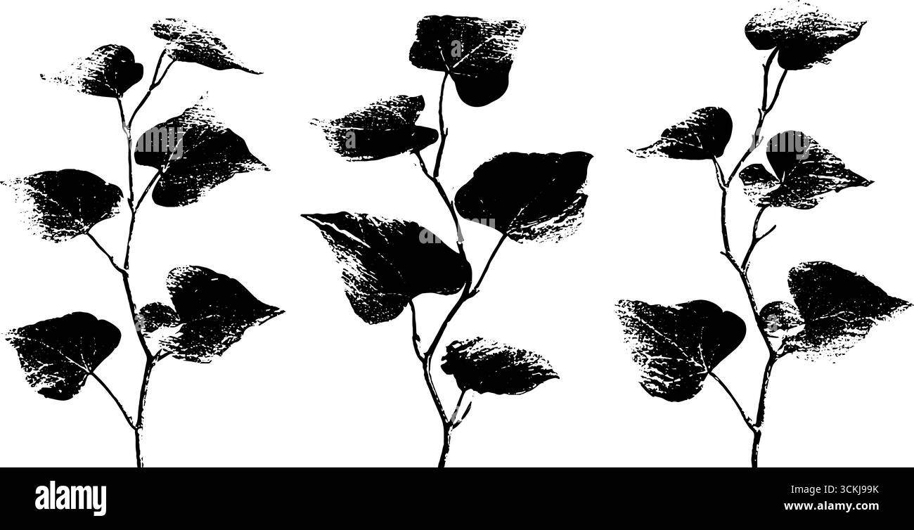 Schwarz-weißes Efeuschablonset für künstlerisches Design und Dekoration. Stock Vektor Schwarz-weißes Efeuschablonset für künstlerisches Design und Dekoration. Stock Vektor