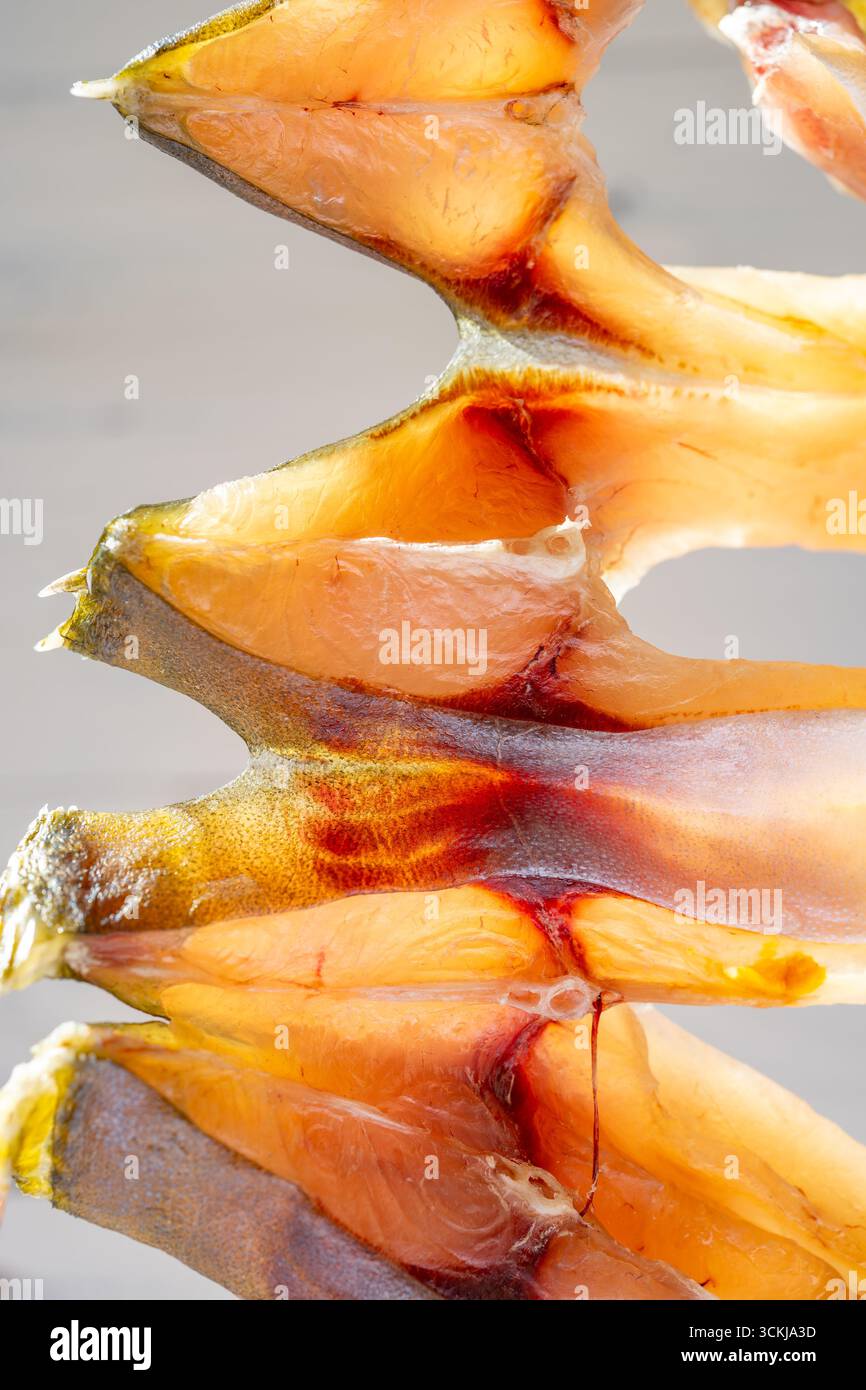 Rohe Fische, getrocknet auf einem Balkon vertikale Komposition Stockfoto