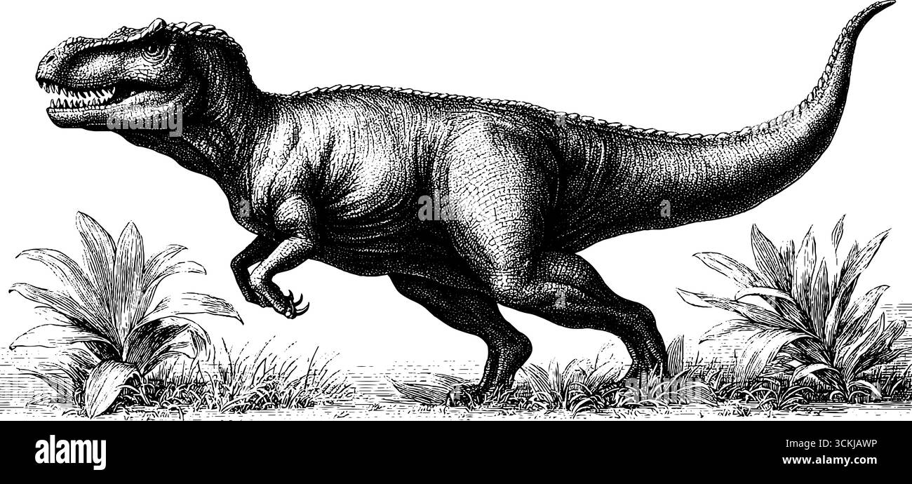 Carnotaurus-Dinosaurier jagen in einer Vintage-Szene mit Gravur und vulkanischer Landschaft. Stock Vektor