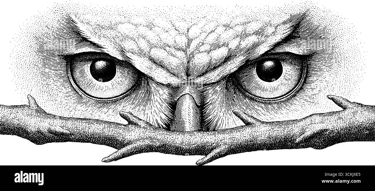 Komplizierte Eulenaugen mit Waldzweig und Sternenlicht für Naturdesigns. Stock Vektor
