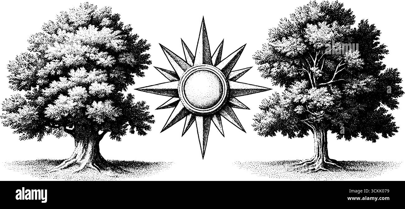 Vintage-Sonnenzifferblatt und Kompass mit Baumschatten in handgezeichnetem Retro-Design. Stock Vektor