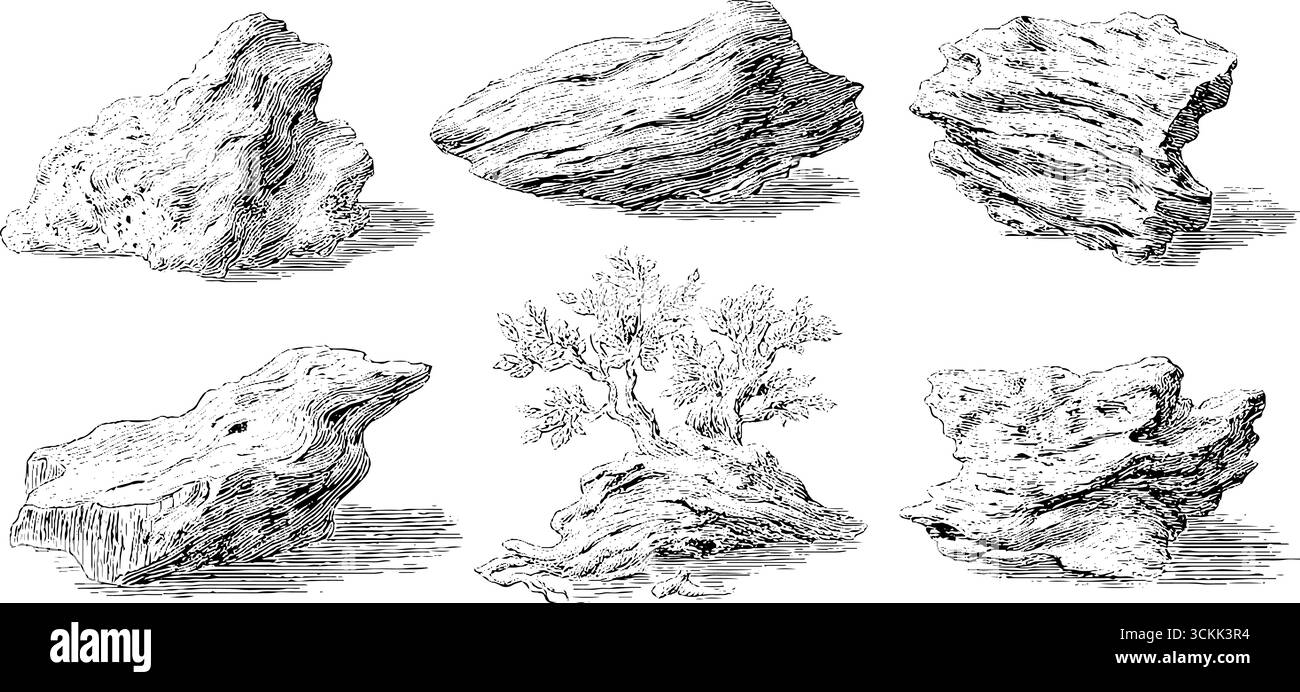 Vintage-Skizzen-Sammlung von versteinertem Holz und Felsen Gravurkunst. Stock Vektor