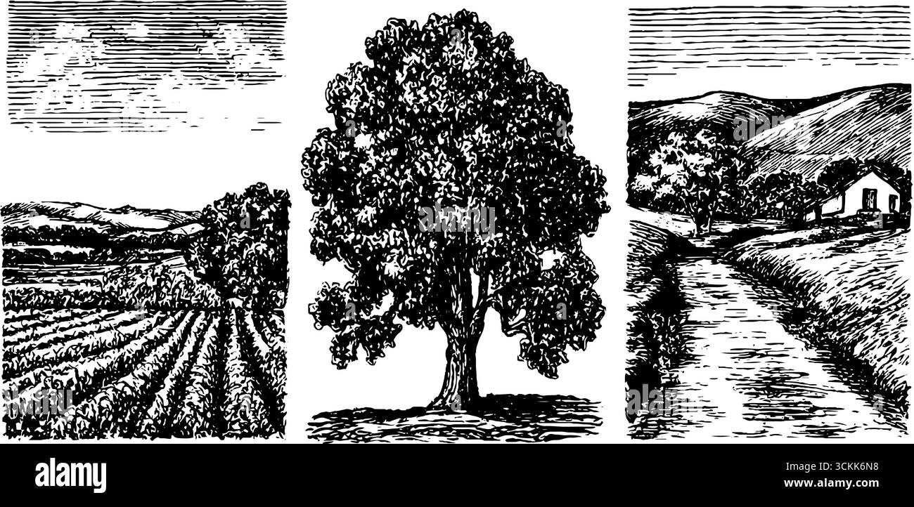 Alte Landschaften mit Blick auf die Landschaft und Naturelementen. Stock Vektor