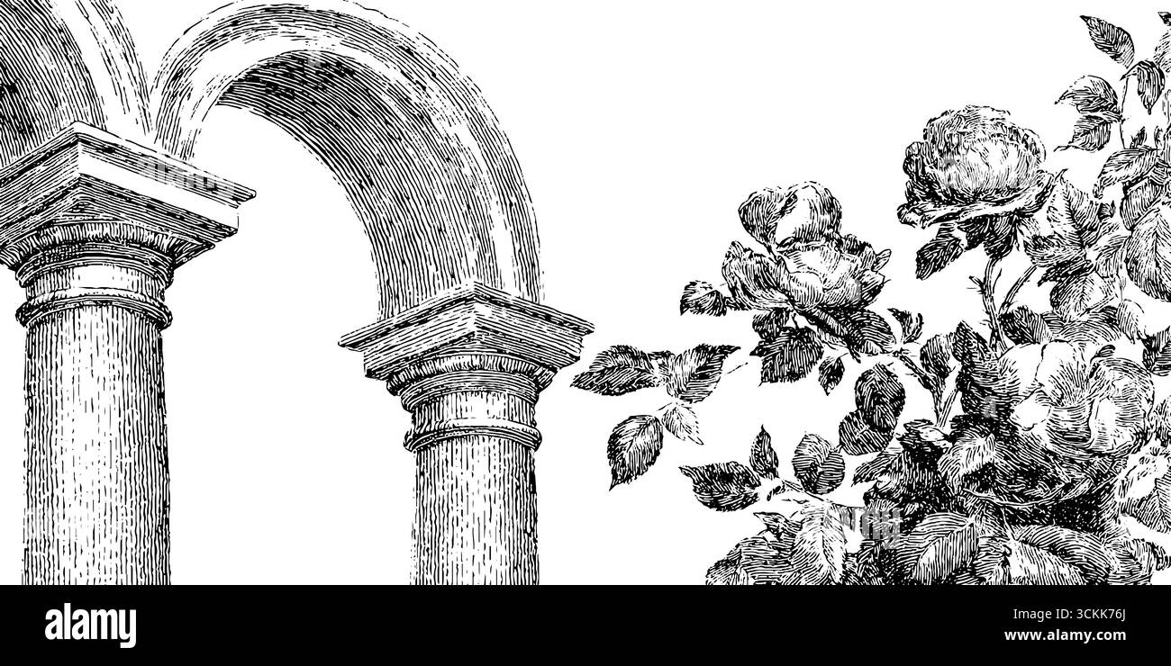 Vintage-Skizze in Schwarz-weiß-Rosé mit klassischen architektonischen Elementen. Stock Vektor