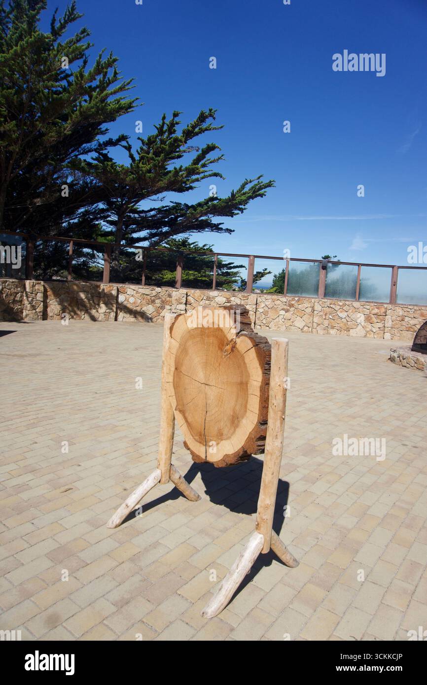 Baumquerschnitt im Coastal Nature Reserve in Kalifornien Stockfoto