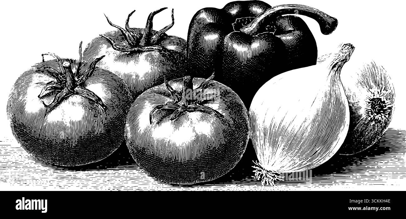 Eingravierte Vintage-Gemüse-Collage: Tomaten, Paprika, Zwiebeln. Stock Vektor