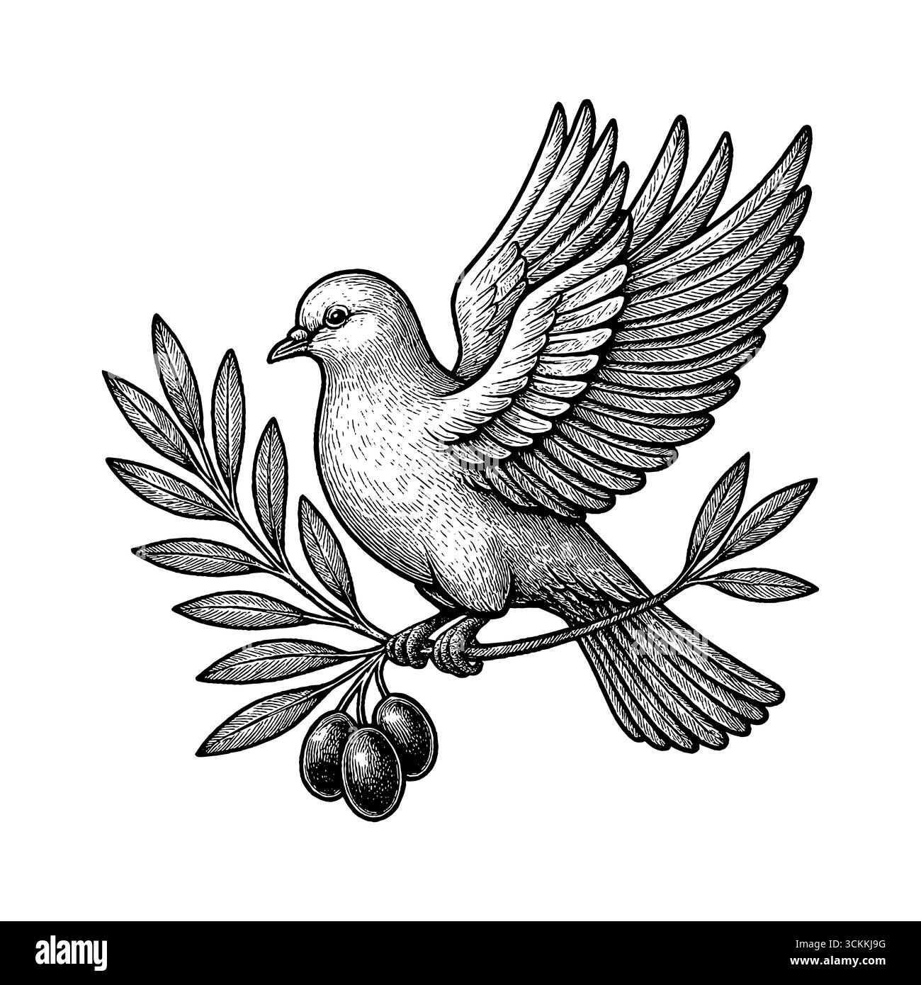 Eine Taube, die einen Olivenzweig trägt, symbolisiert Frieden, Reinheit und die gute Nachricht der Hoffnung Stock Vektor