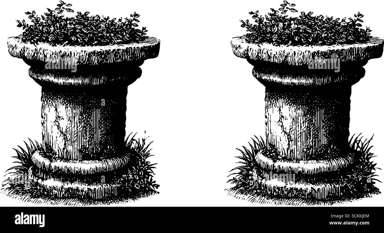 Antik geformte Säulensockel mit gravierten Details für Designprojekte. Stock Vektor