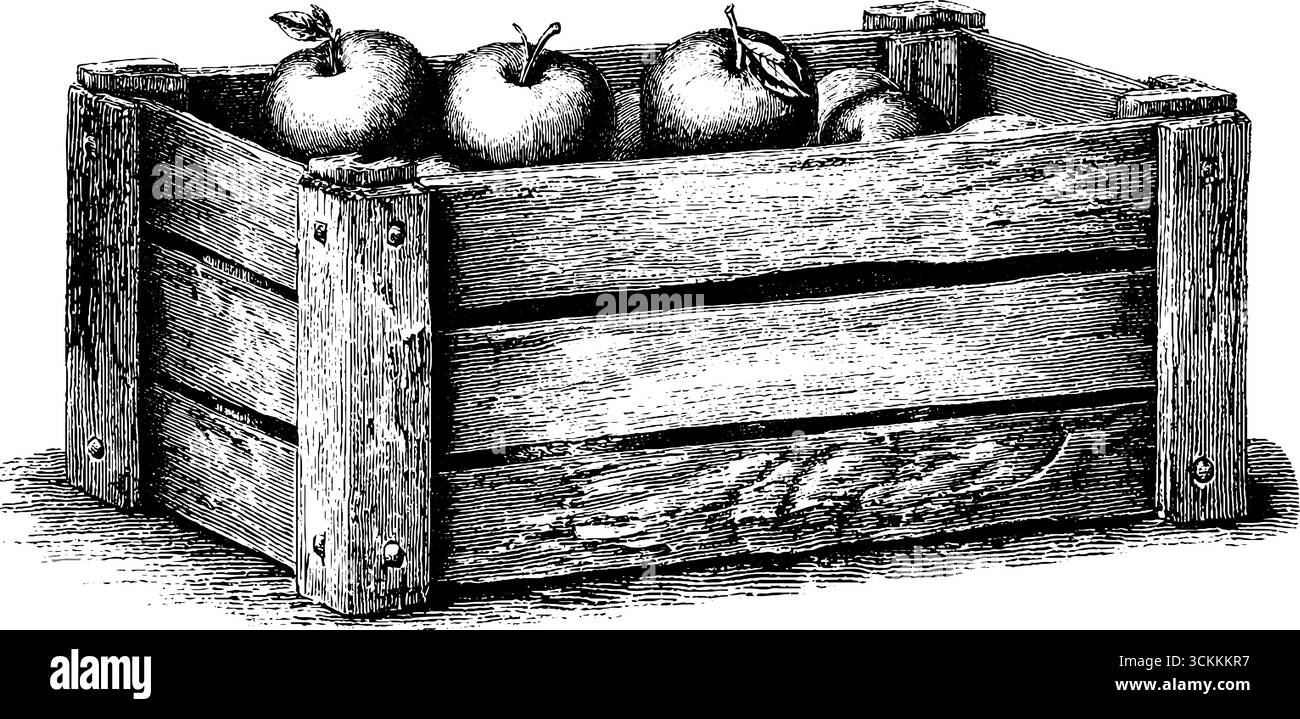 Vintage-gravierte Illustration einer Holzkiste mit Äpfeln für Retro-Design. Stock Vektor