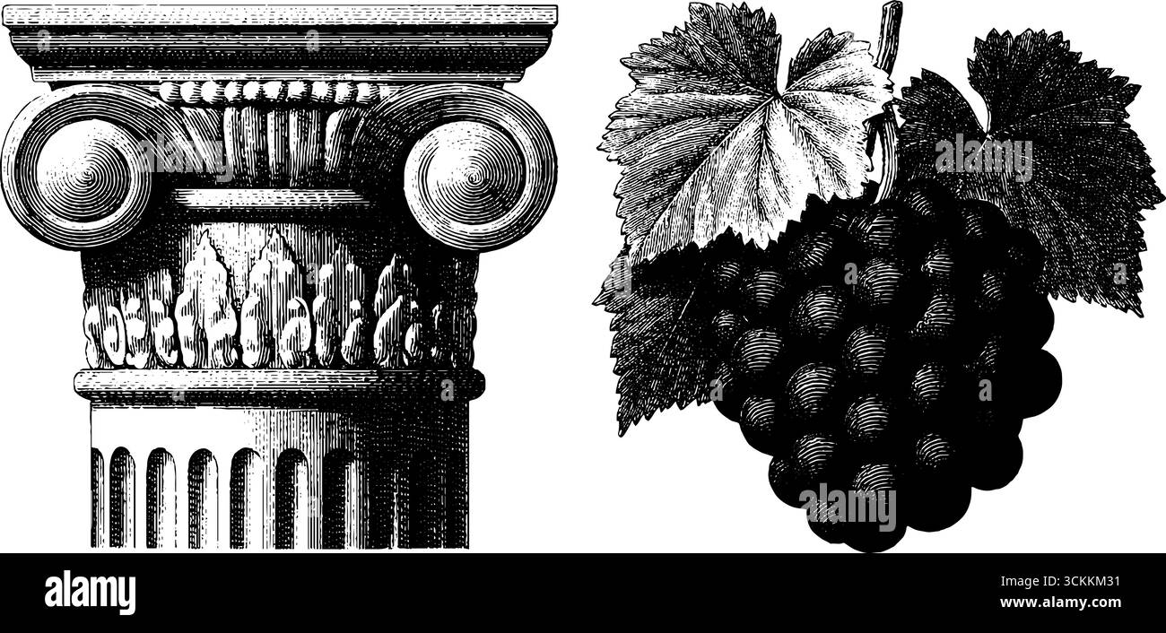 Klassisches Volute Ornament und Grapevine Gravur - Design für historischen Druck und Kunstcollage. Stock Vektor
